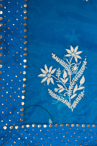 Two-Tone Blue Organza Chikankari Saree with Sky Blue and Multi-Blue Shades