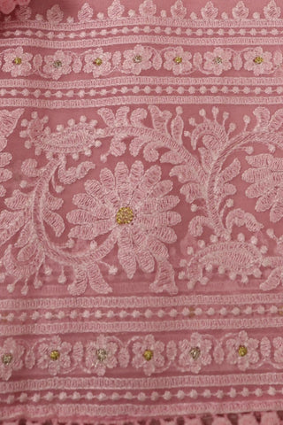 Light Pink Banarasi Organza Saree with Chikankari