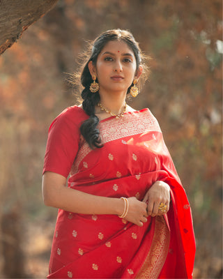 Exquisite Red Banarasi Saree with Intricate White Silk Weaving