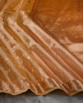 Gold handwoven Banarasi Kora tissue silk saree with sona rupa gold silver zari leaf floral buttas and brocade mesh pallu