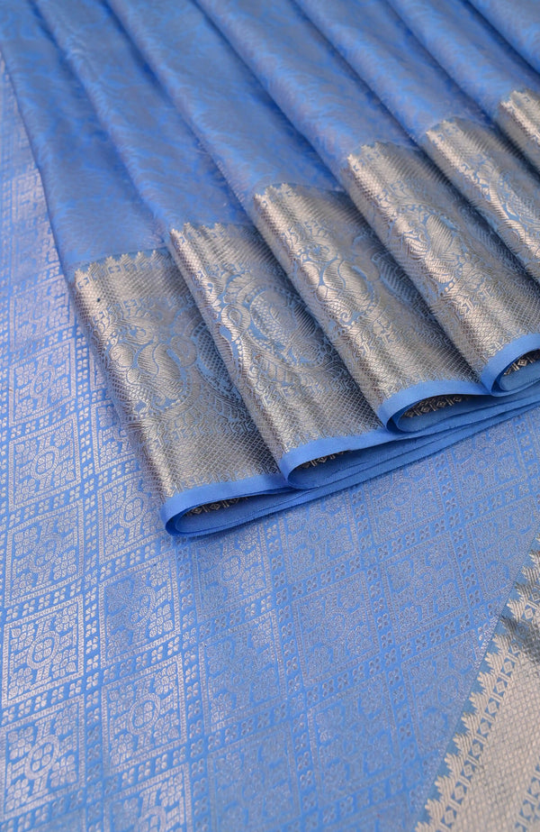 Powder Blue Kanchipuram Silk Saree