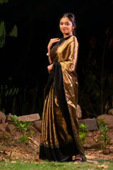 Golden Tissue Silk Chanderi Saree with Black Piping