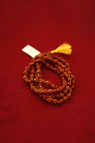 Rudrapuja Kit